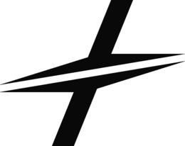 NO EXISTING LITERAL ELEMENT OF MARK trademark
