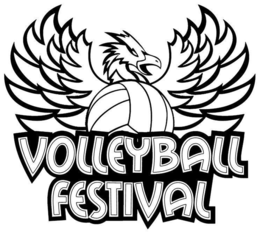 VOLLEYBALL FESTIVAL trademark