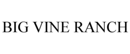 BIG VINE RANCH trademark
