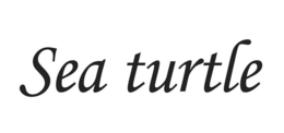SEA TURTLE trademark