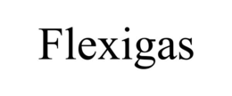 FLEXIGAS trademark