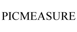 PICMEASURE trademark