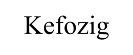 KEFOZIG trademark