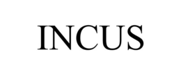 INCUS trademark