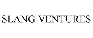 SLANG VENTURES trademark
