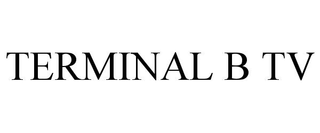 TERMINAL B TV trademark
