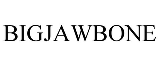 BIGJAWBONE trademark