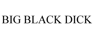 BIG BLACK DICK trademark