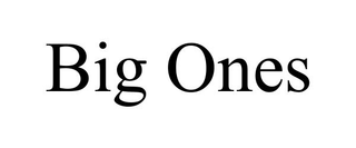 BIG ONES trademark