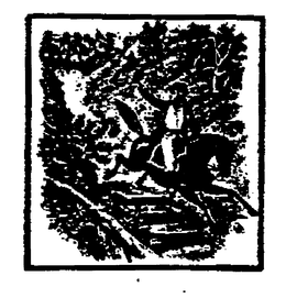 PUTNAM FADELESS DYES trademark