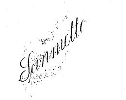 SANMETTO trademark