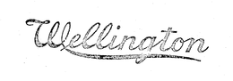 WELLINGTON trademark