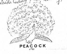 PEACOCK trademark