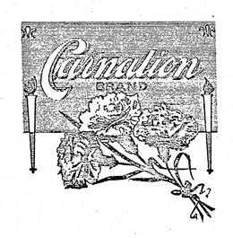 CARNATION BRAND trademark