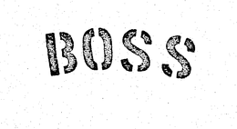 BOSS trademark