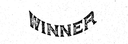 WINNER trademark