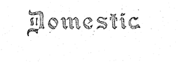 DOMESTIC trademark