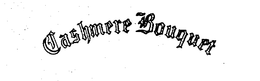 CASHMERE BOUQUET trademark