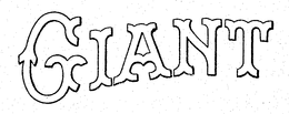 GIANT trademark
