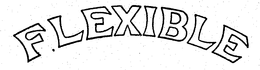 FLEXIBLE trademark