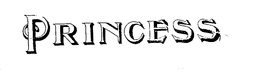 PRINCESS trademark