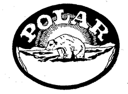 POLAR trademark