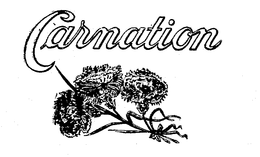 CARNATION trademark