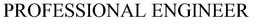 PROFESSIONAL ENGINEER trademark
