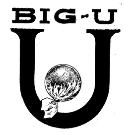 U BIG-U trademark