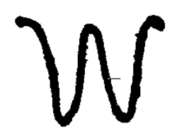 W trademark