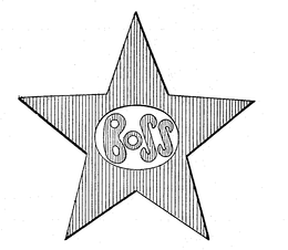 BOSS trademark