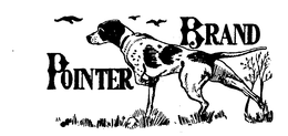 POINTER BRAND trademark