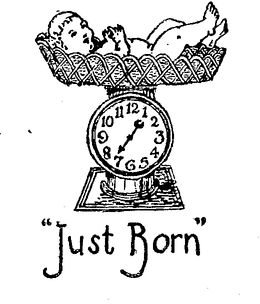 "JUST BORN" trademark
