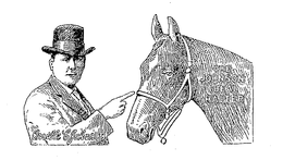 THE JOHNSON IDEAL HALTER trademark