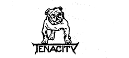 TENACITY trademark