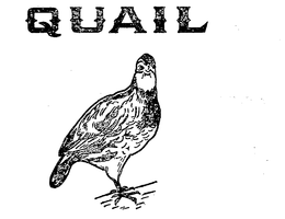 QUAIL trademark