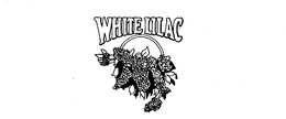 WHITE LILAC trademark