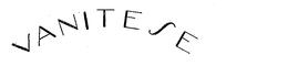 VANITESE trademark