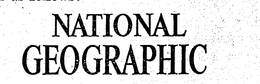 NATIONAL GEOGRAPHIC trademark