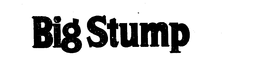 BIG STUMP trademark