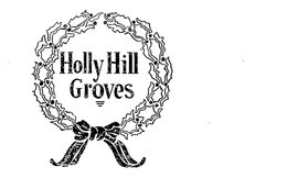 HOLLY HILL GROVES trademark