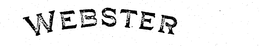 WEBSTER trademark