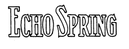 ECHO SPRING trademark