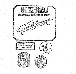 FERNET-BRANCIA DEI FRATELLI BRANCA E COMP FRATELLI BRANCA MILANO trademark