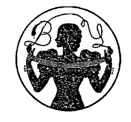 BS trademark