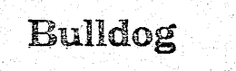 BULLDOG trademark