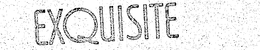 EXQUISITE trademark