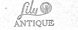 LILY ANTIQUE trademark