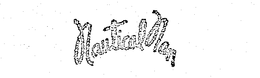 NAUTICAL NAN trademark