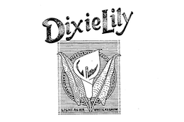 DIXIELILY LIGHT AS AIR WHITE AS SNOW trademark